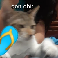 Kem(con chị tác giả)