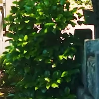 all