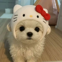 Chíp🐥