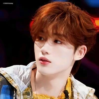 Đinh Trình Hâm