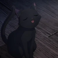 Meomeo Nerari