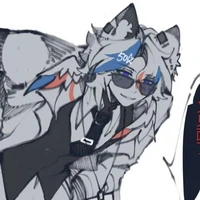 U.S.A