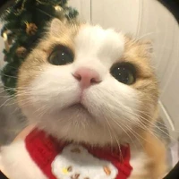 mimi