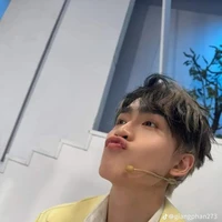 vũ đức thịnh