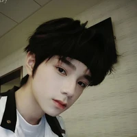 Vương Lỗ Kiệt
