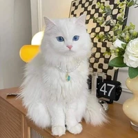 Mạnh Bà Bà - Lão Bà