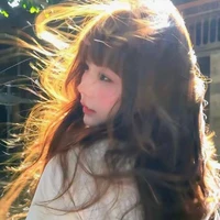 Y Lục