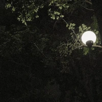 All trừ ai thì trừ