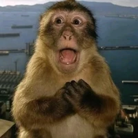 Con bồ này là con "Khỉ"