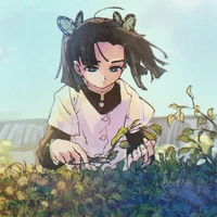 Kanzaki Aoi