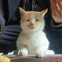 Nhân viên công ty