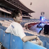 Nguyễn Quang Anh(em)