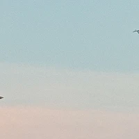 Một số nhân vật cần thiết