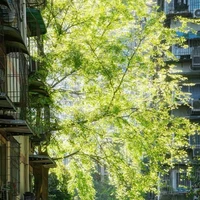 MEGA SCHOOL@❇Mega_school❇