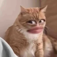 hệ thống