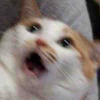 Tất cả