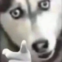 all