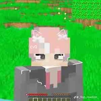 Hiha BNHA