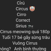Nv phụ