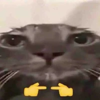 4 bot