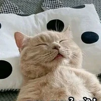 tác giả cute
