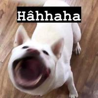 Kin