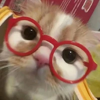 đệ tử bà Châu