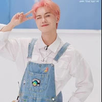 sơn_anh2