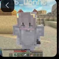 16_DonMC