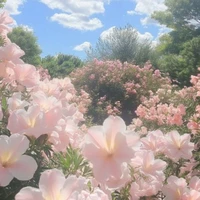 Clb truyền thông [@truyền thông nèe]