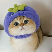 T/G