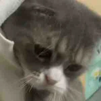 Mun