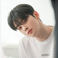 Cha Eun - woo (anh)