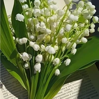 các ông bố