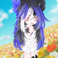 Lyna shark