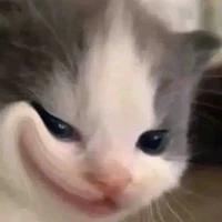 tác giả cute