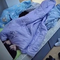 Tác giả đâyyy