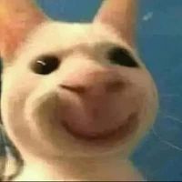 tất cả( trừ ai thì trừ)