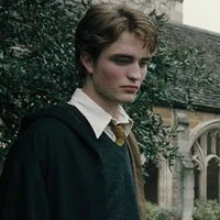 Cedric Diggory - Enigma