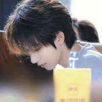 Hạ Tuấn Lâm (em)