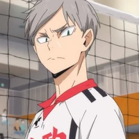 Lev Haiba