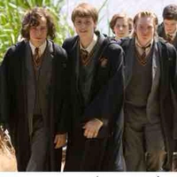 Bộ tứ đạo tặc 