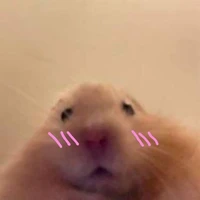 TÁC GIẢ TRẦM TÍNH SAI ĐẸP CHIU