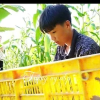 Phạm Đình Hòa