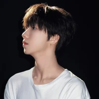 Nhiếp Vĩ Thần