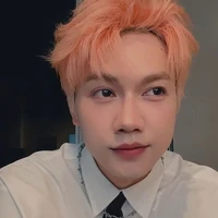 Nguyễn Thái Sơn/sol