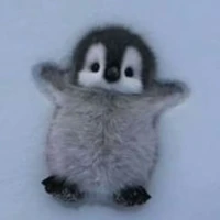 Con tác giả vô truy