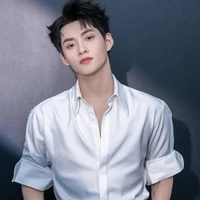 hùng huỳnh,gemini