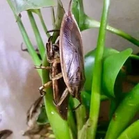 nhìn cái chóa giề:))