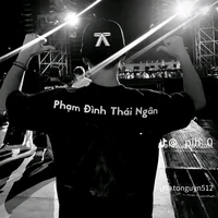 Phạm đình thái ngân